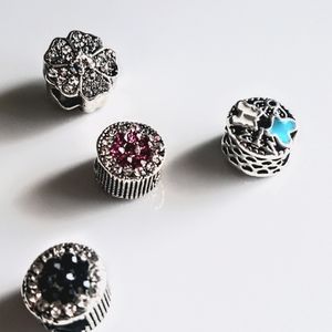 Silver Charm Assorted Charms 4 pcs